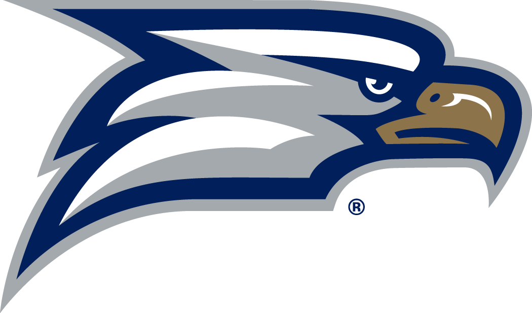 Georgia Southern Eagles 2010-Pres Secondary Logo vinyl decal